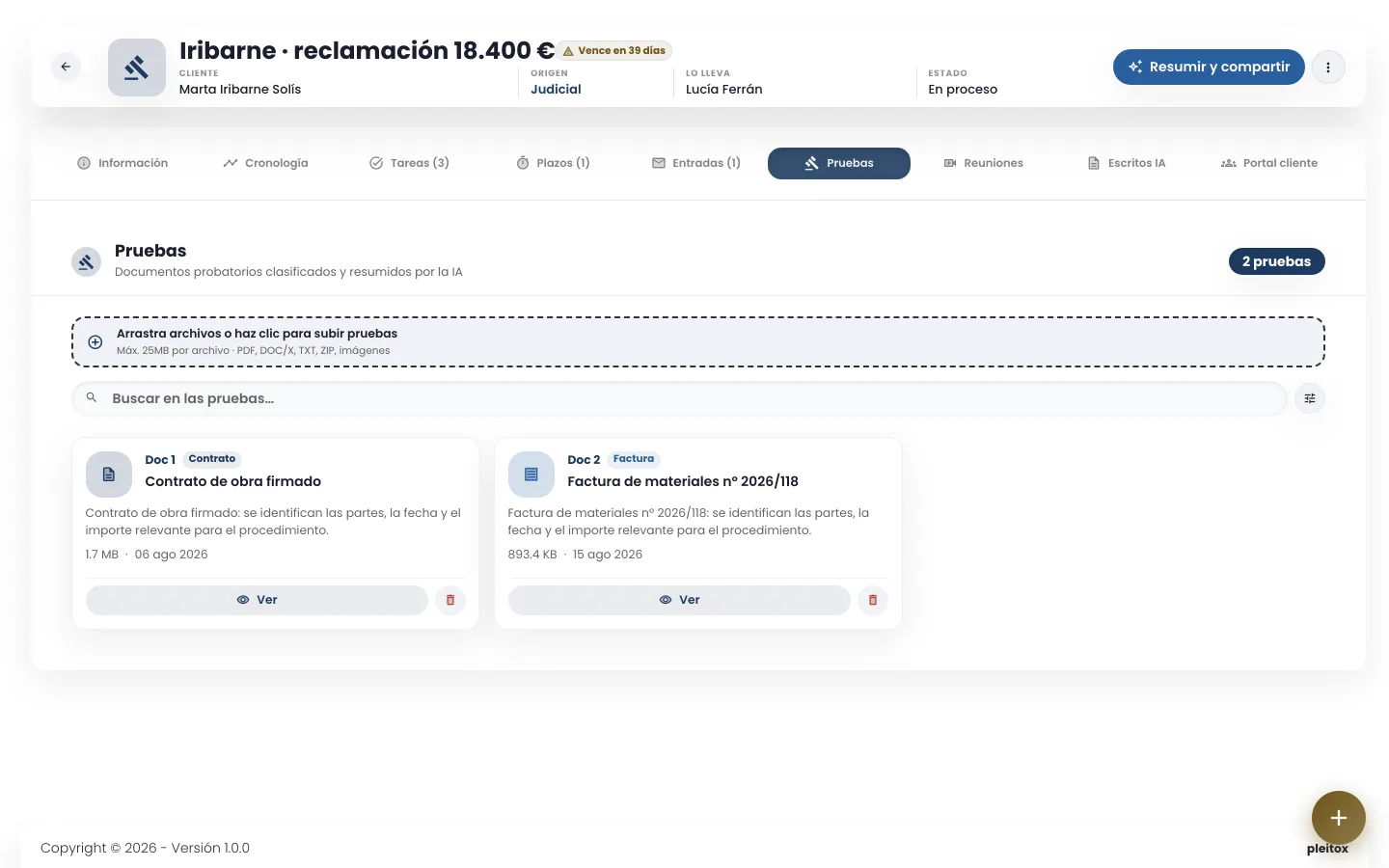 Pestaña de pruebas de un expediente de pleitox con documentos numerados y clasificados por la IA
